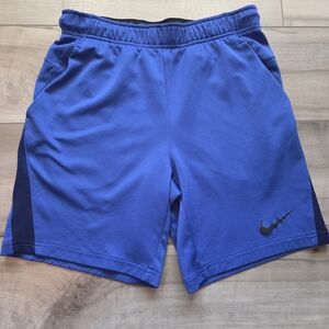 Nike Men's Royal Blue Sports Shorts